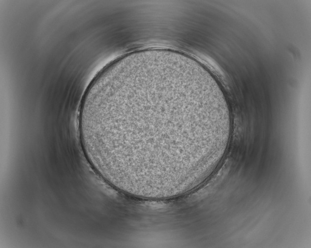 X0000112411190200909110944