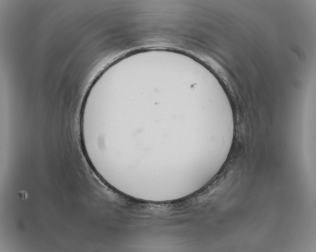 X0000112411191200909110944