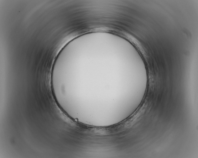 X0000112411194200909110943