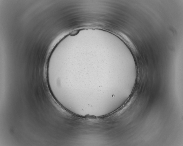 X0000112411196200909110943