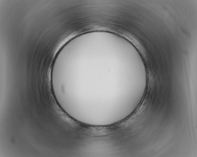 X0000112411198200909110943