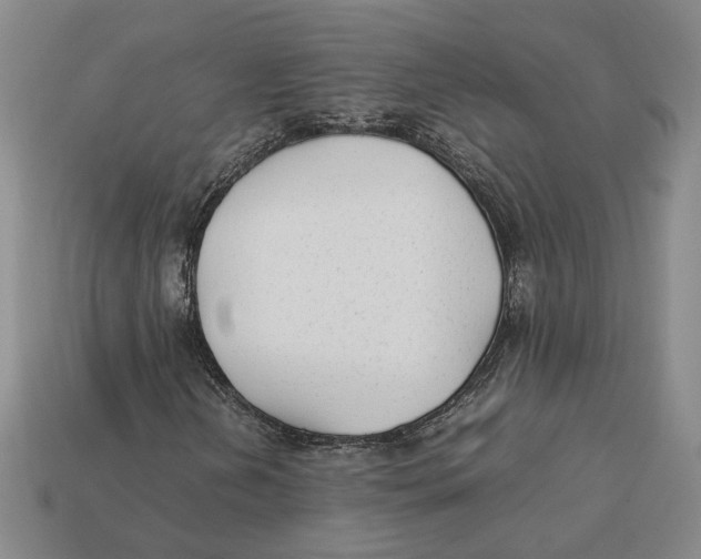 X0000112411202200909110943