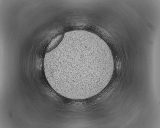 X0000112411204200909110943
