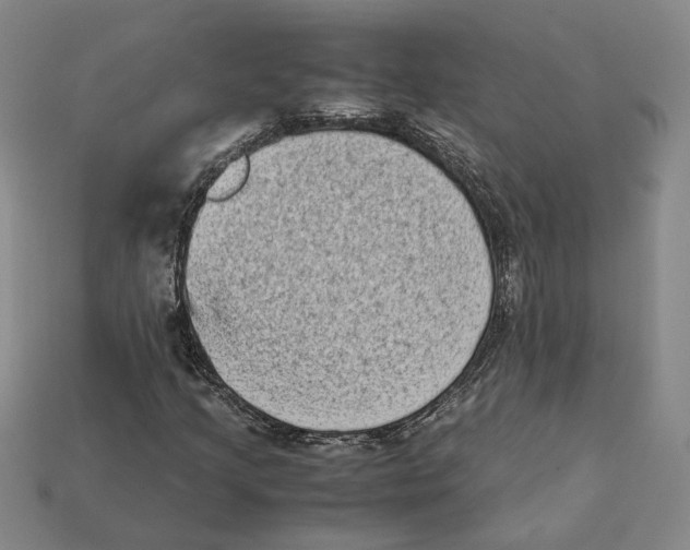 X0000112411205200909110943