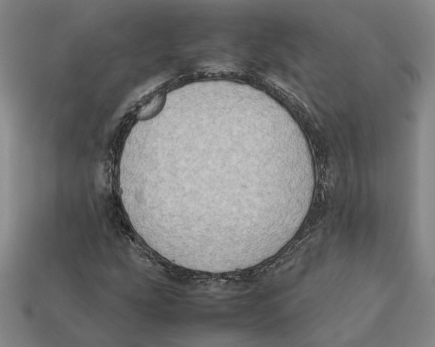 X0000112411207200909110943