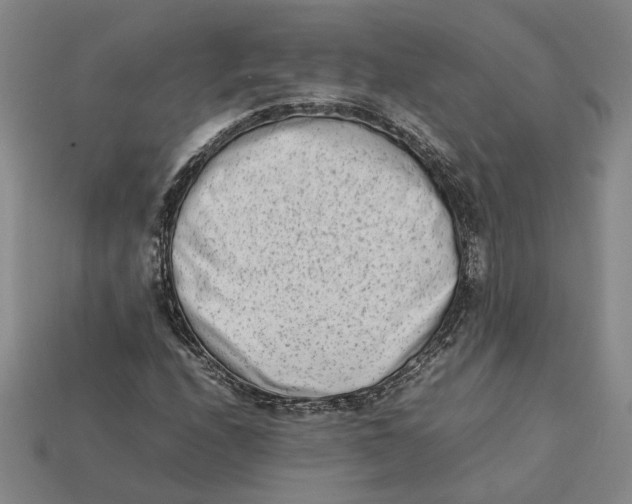 X0000112411208200909110943