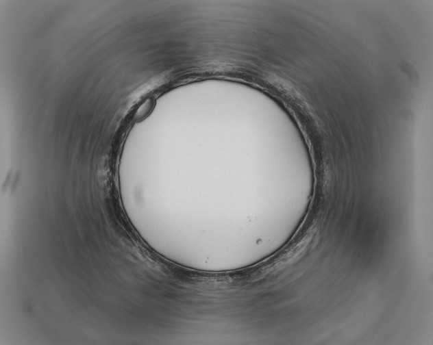 X0000112411210200909110943