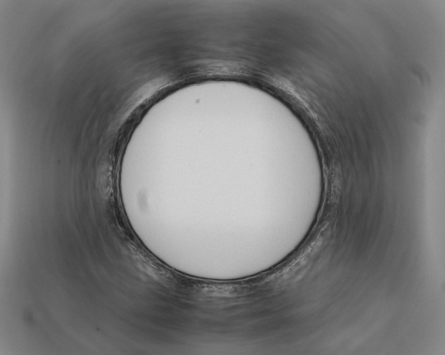 X0000112411211200909110943