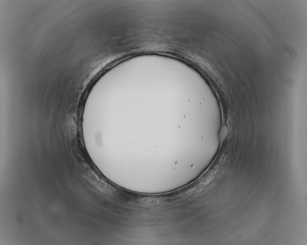 X0000112411212200909110943