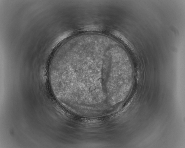 X0000112411213200909110943