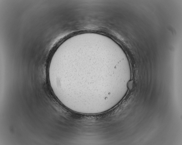 X0000112411214200909110943