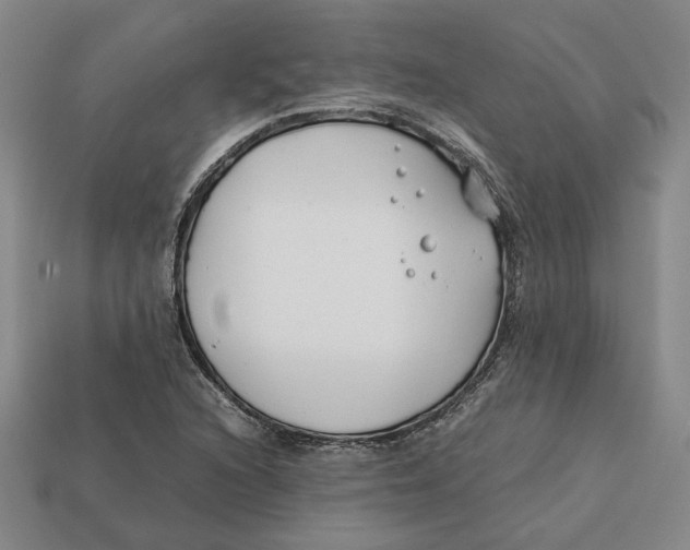X0000112411216200909110943