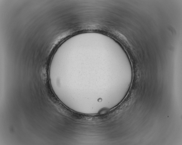 X0000112411218200909110943