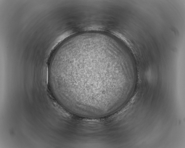 X0000112411219200909110943
