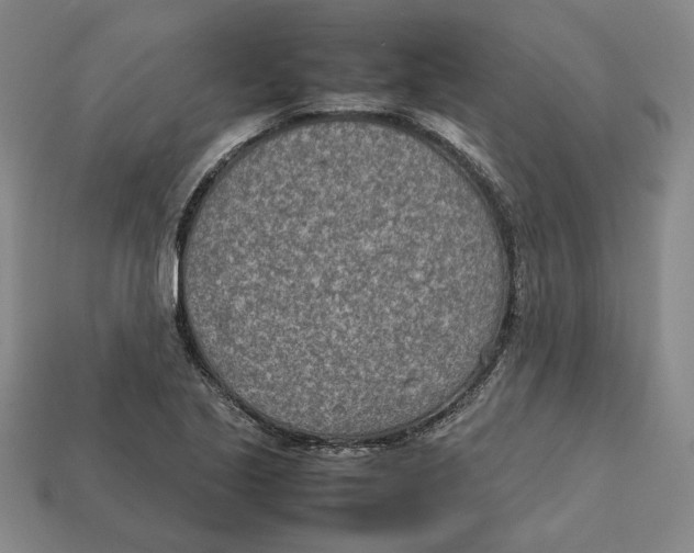 X0000112411221200909110943