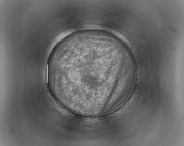 X0000112411223200909110943