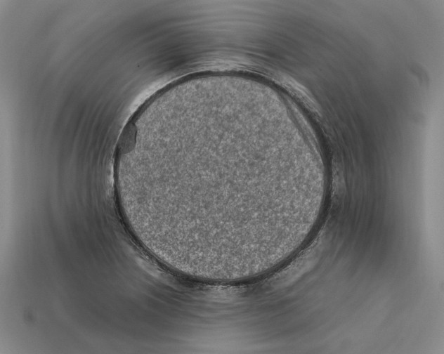 X0000112411226200909110943