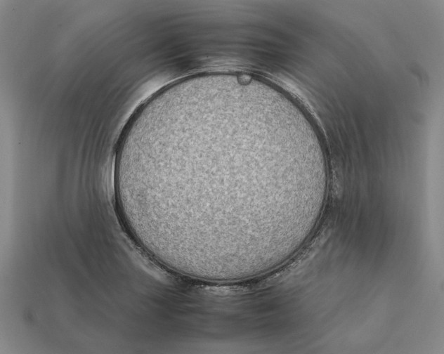 X0000112411227200909110943