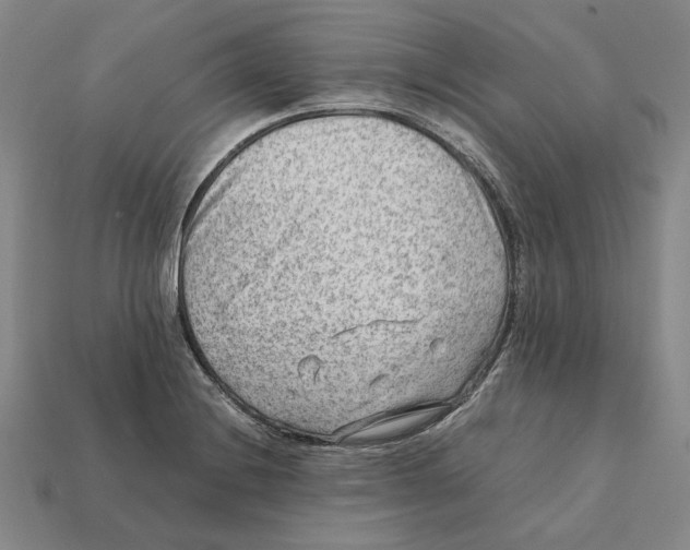 X0000112411228200909110943