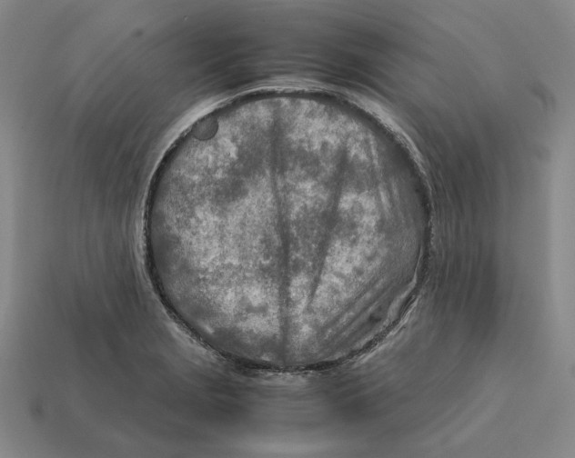 X0000112411229200909110943