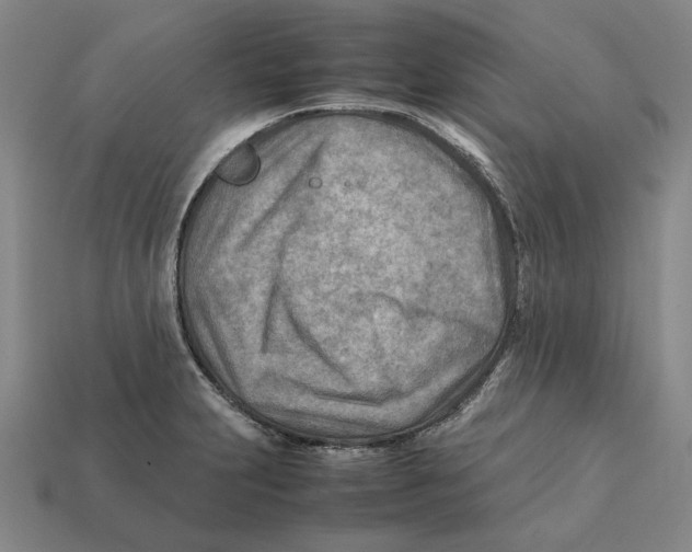 X0000112411231200909110943