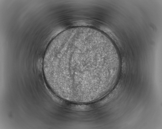 X0000112411233200909110943