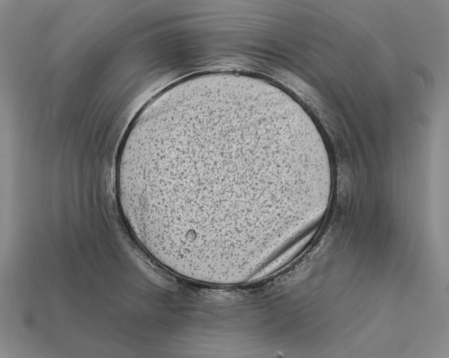 X0000112411234200909110943