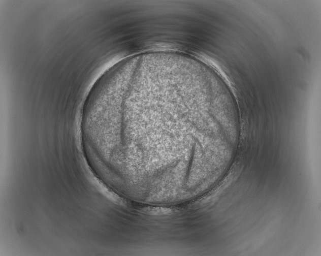X0000112411235200909110943