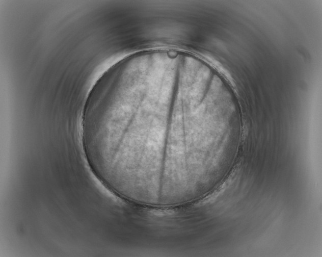 X0000112411239200909110943