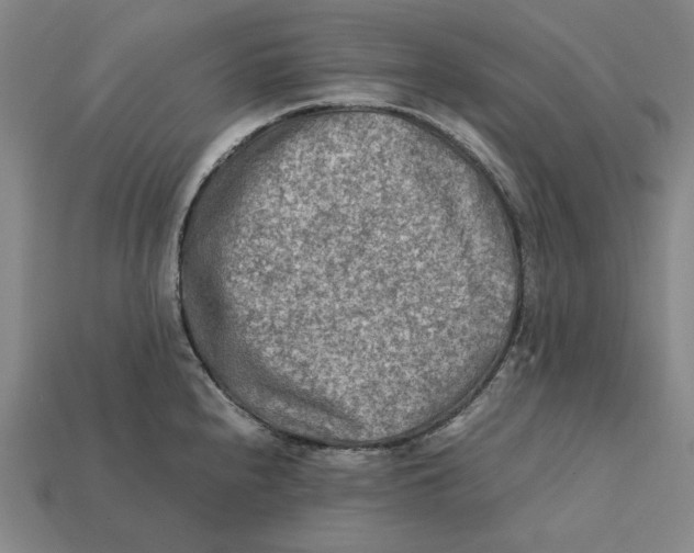 X0000112411240200909110943