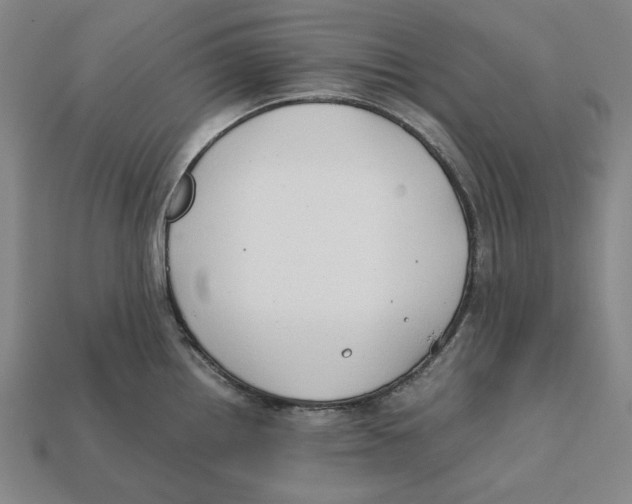 X0000112411242200909110943
