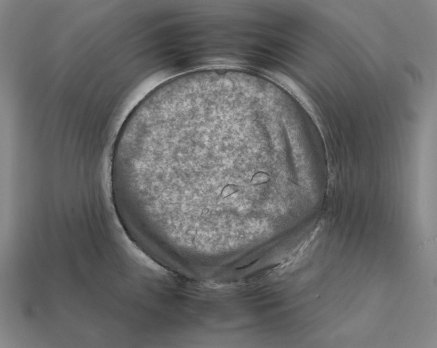 X0000112411243200909110943