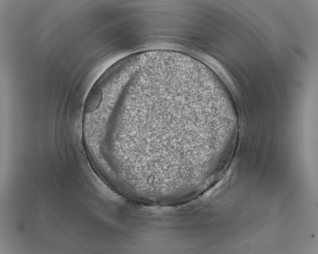 X0000112411244200909110943