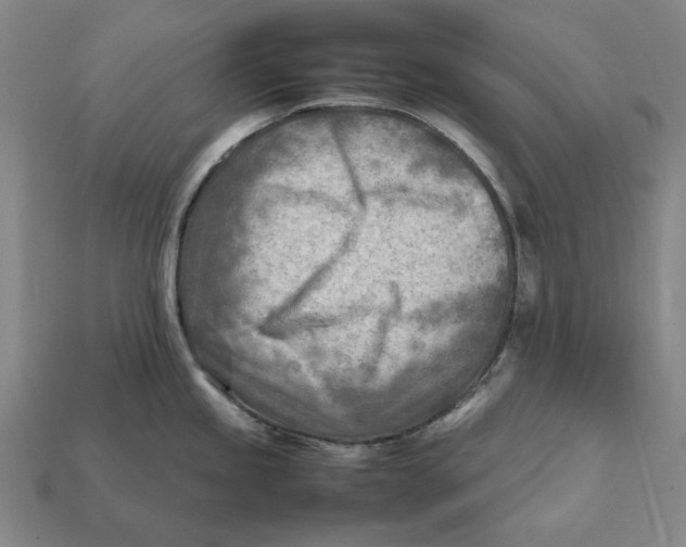 X0000112411245200909110943
