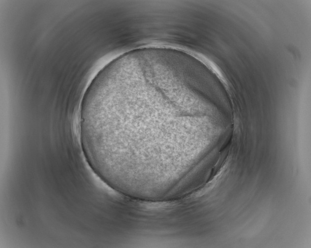 X0000112411247200909110943