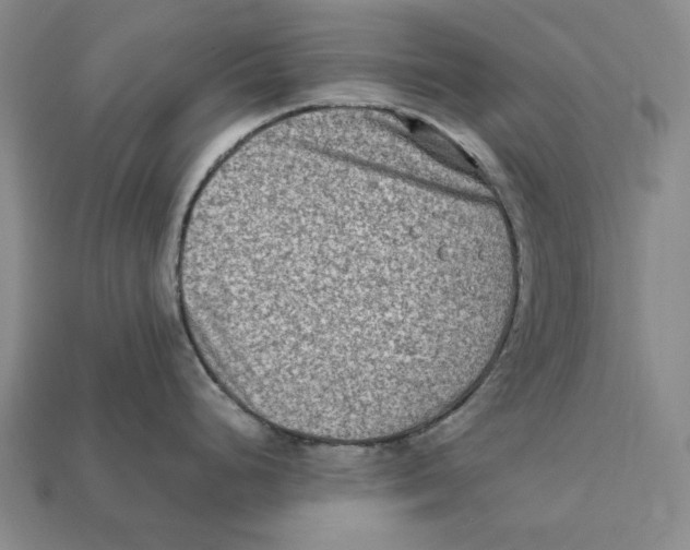 X0000112411248200909110943