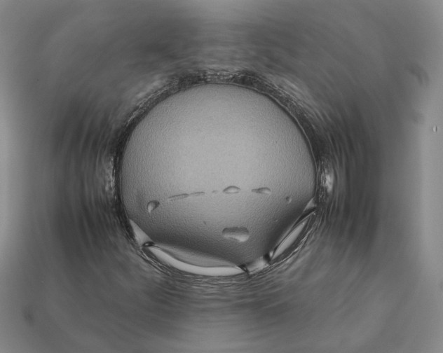 X0000112411252200909110943