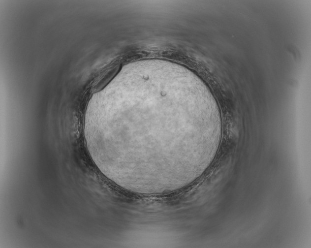 X0000112411253200909110943