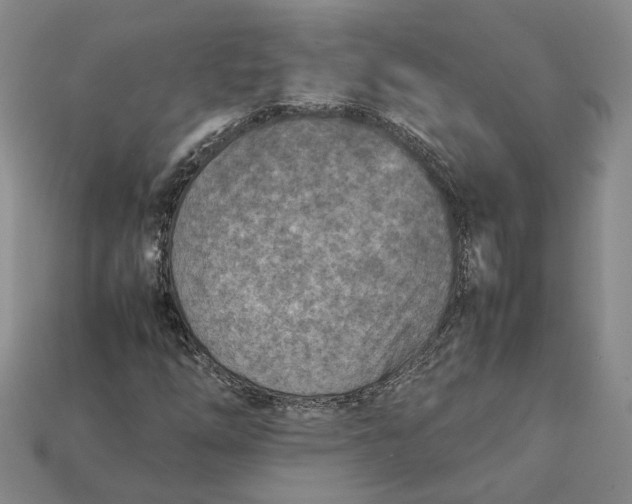X0000112411254200909110943