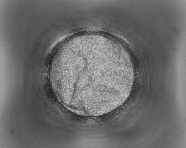 X0000112411255200909110943