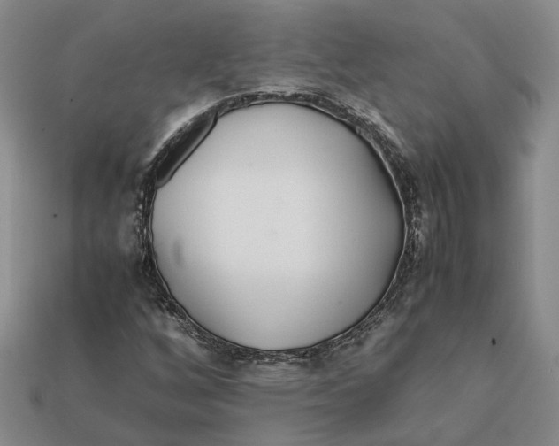 X0000112411256200909110943