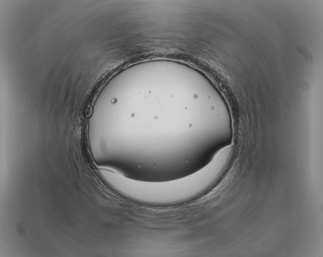 X0000112411257200909110943