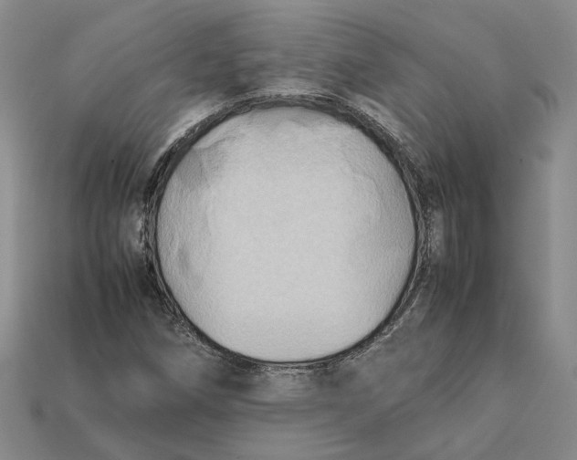 X0000112411258200909110943