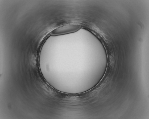 X0000112411260200909110942