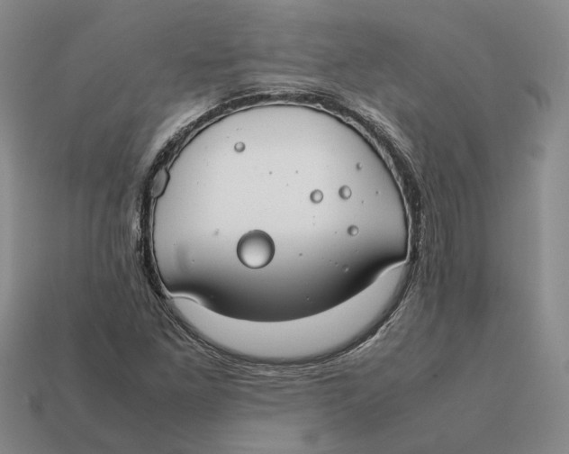 X0000112411261200909110942