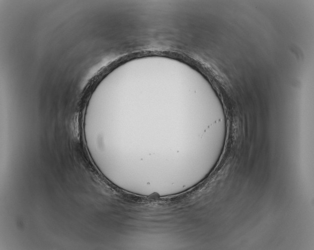 X0000112411262200909110942