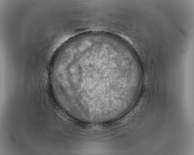 X0000112411263200909110942