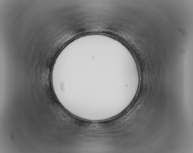 X0000112411265200909110942