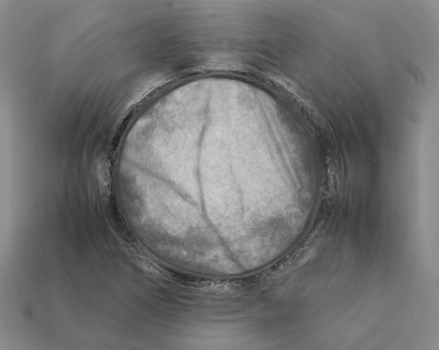 X0000112411266200909110942
