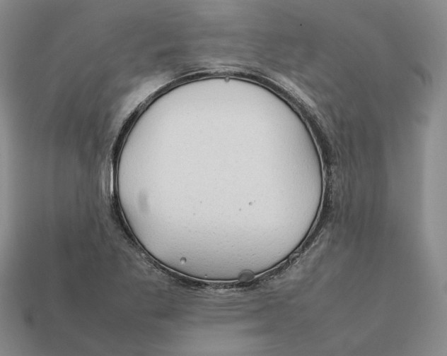 X0000112411269200909110942